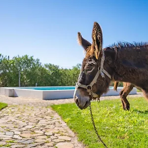 Burro By Host Wise Alojamento de Turismo Rural Portimão